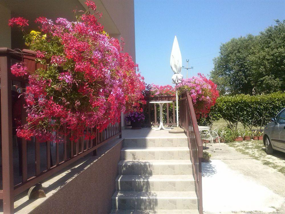 Pansion Ivanka Barac Medjugorje Luaran gambar